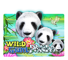 Slot Online Wild Giant Panda JOKER123